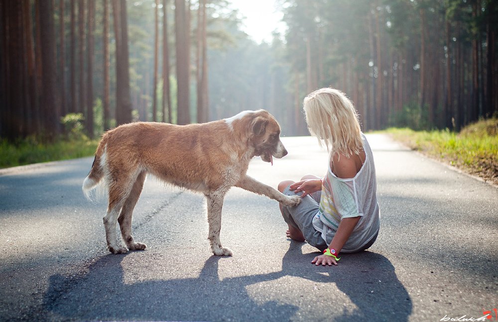 Собаки и люди на дороге. Фотосессия с собакой. Блондинка с собакой. Девушка с собакой фотосессия. Собака друг человека.