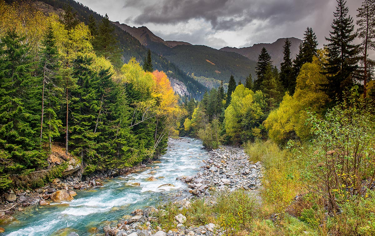 Ущелье гоначхир домбай фото