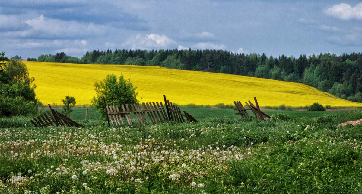 Средой добрым, картинки родной край беларусь