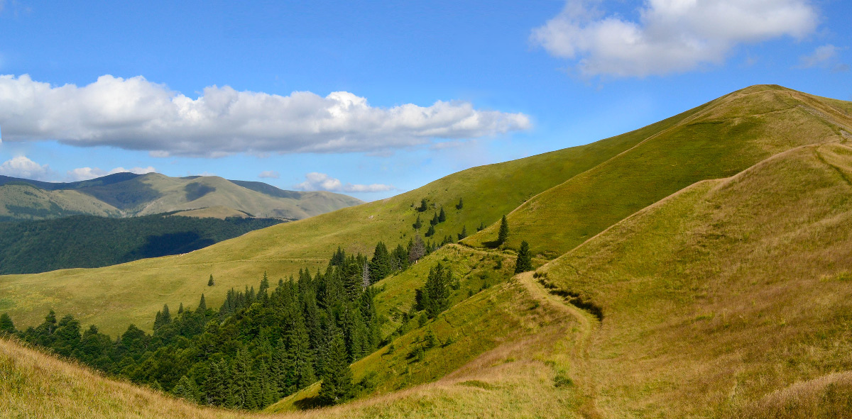 Карпаты румыния