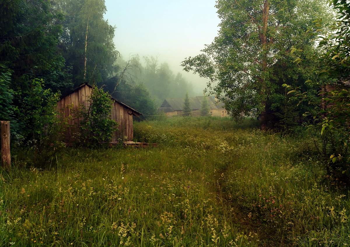 Деревня фото лесов. Лето в деревне. Деревня в лесу. Сельская природа. Утро в деревне.