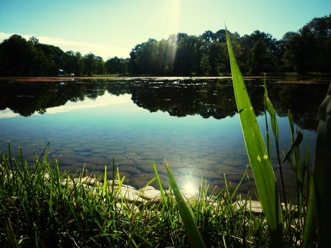 Изображение водоема. Красивые водоемы. Очень красивые пруды. Прекрасный пруд. Живописный пруд.