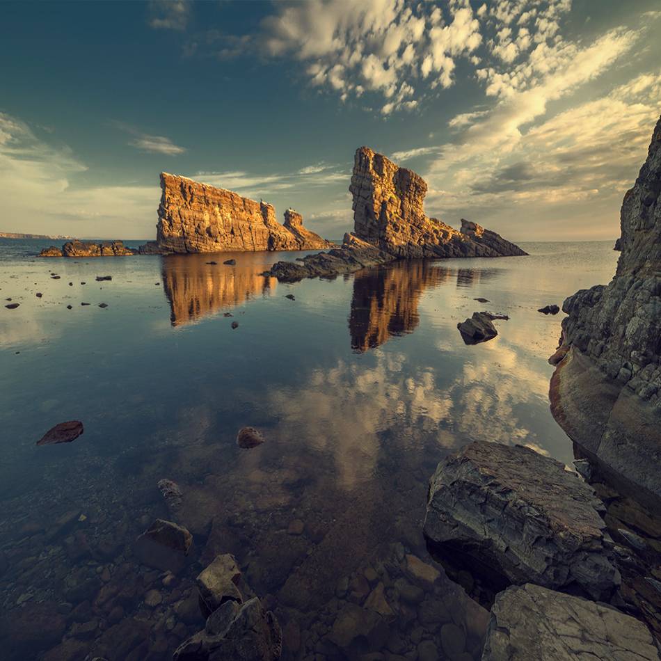 море скалы. актинии и рак-отшельник. острова атлантического океана. наполовину в воде океана. морской меж.