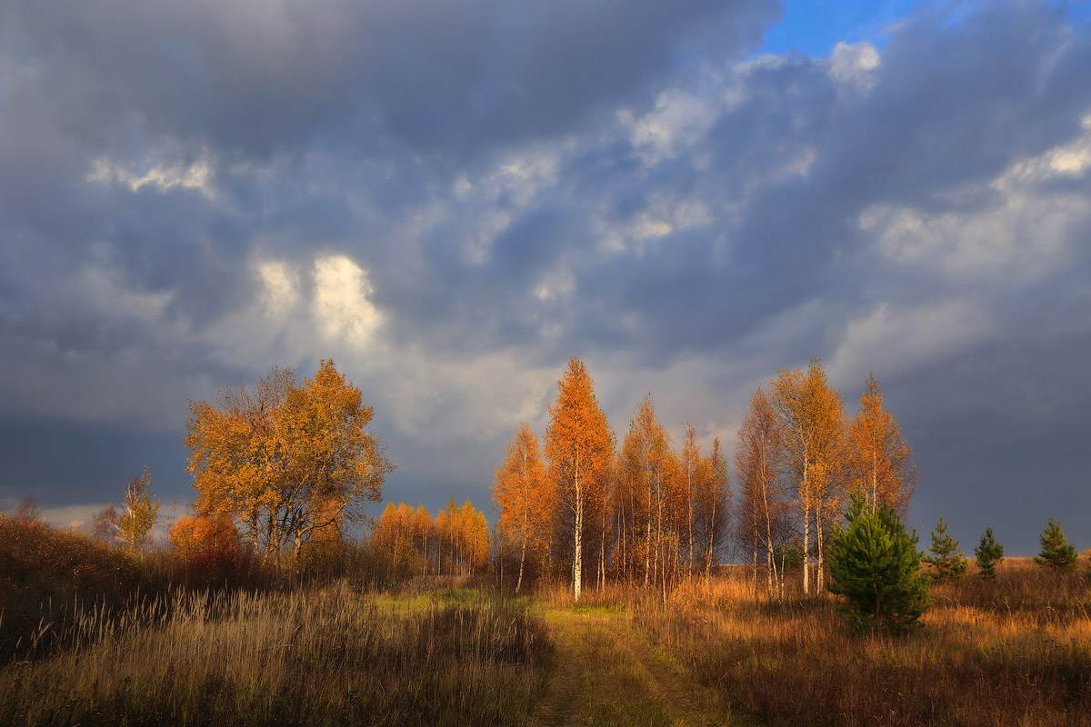 В ясности неба в осени его холодка. Небо осенью.