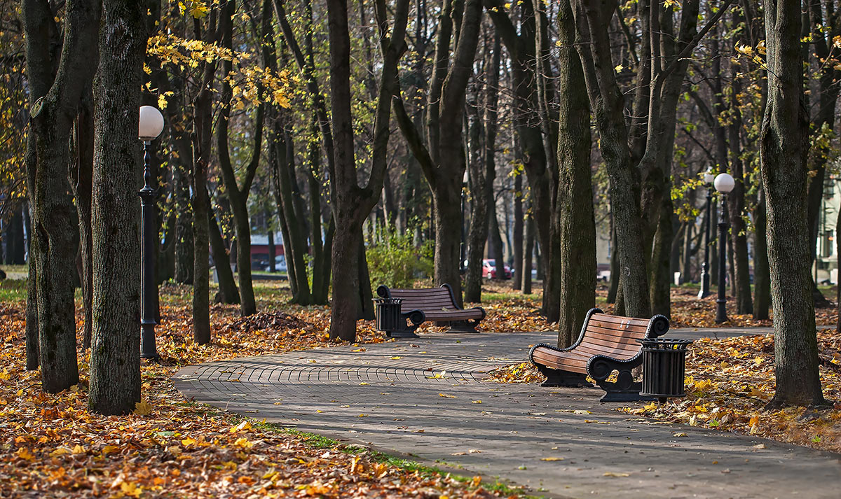 Парк В Октябре Фото