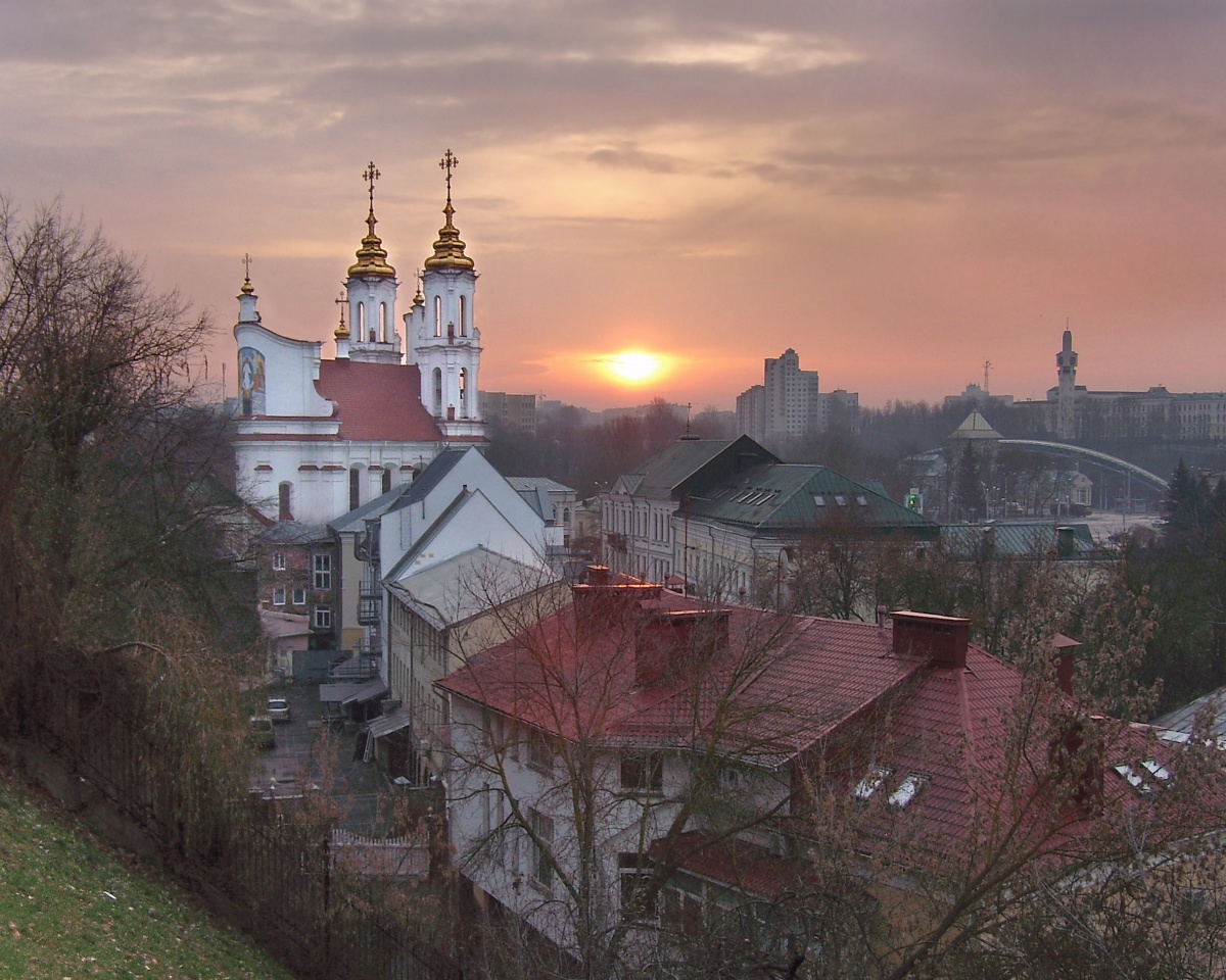Овцы, картинки в витебске