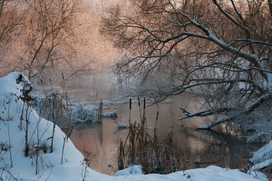 Морозная река глава