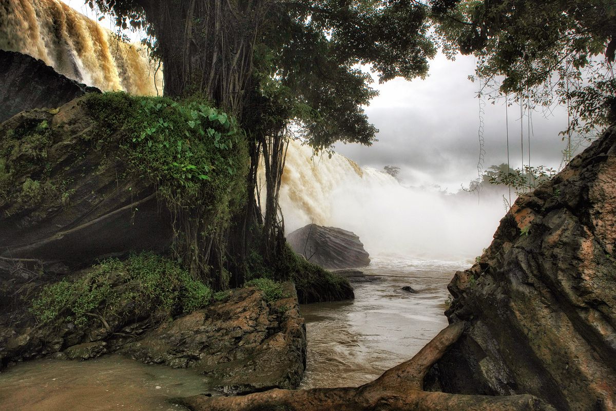 скала джунгли. скала джунгли. пик кан-гранде. сигирия шри-ланка. горы в джунглях.