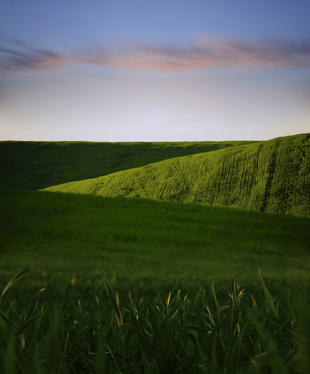 пустое поле. опустевшие поля. остались поля пустые. пустое поле. в чистом поле.