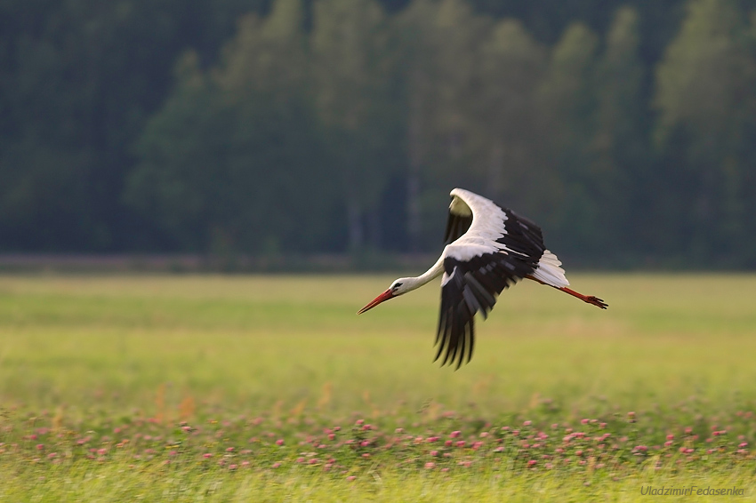 взлетаем авторы. книга взлет. сшей крылья облаков. книга взлет. авиационная промышленность журнал.