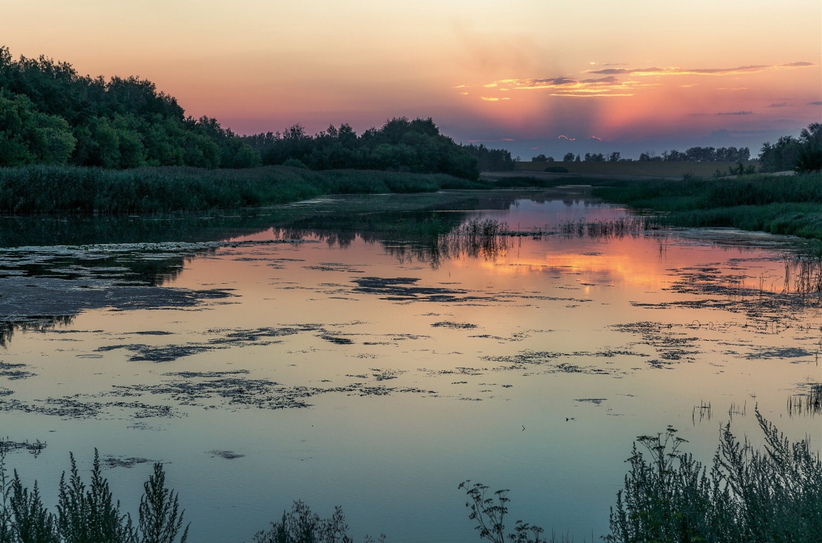 Тамбовская область фото. Тамбов природа. Природа Тамбовской обл. Природа Тамбовского края. Пейзажи Тамбовской области.