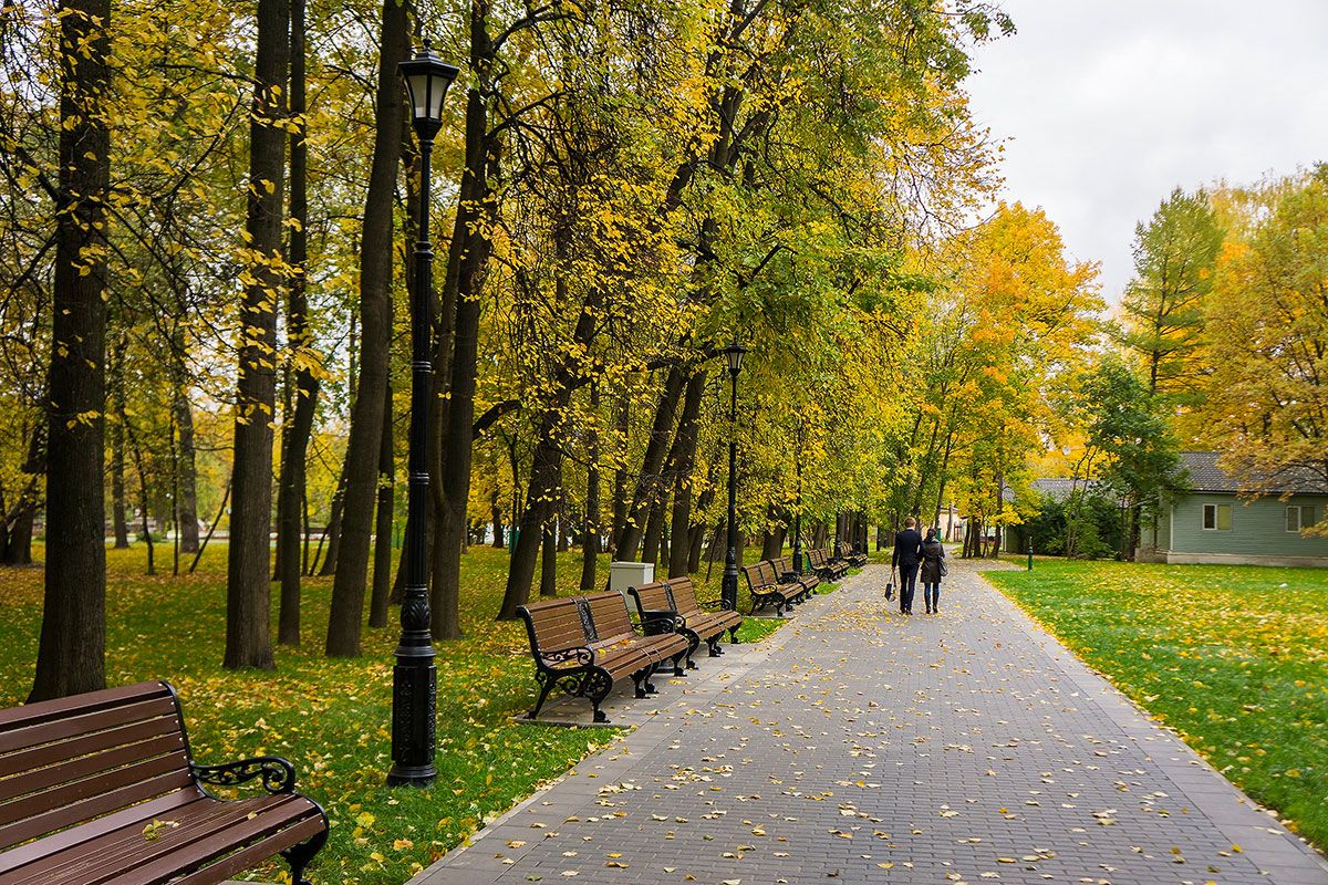 Посещать парки. Парк Останкино. Парк усадьба Останкино. Парк Останкино осень. Останкинский парк ВДНХ.