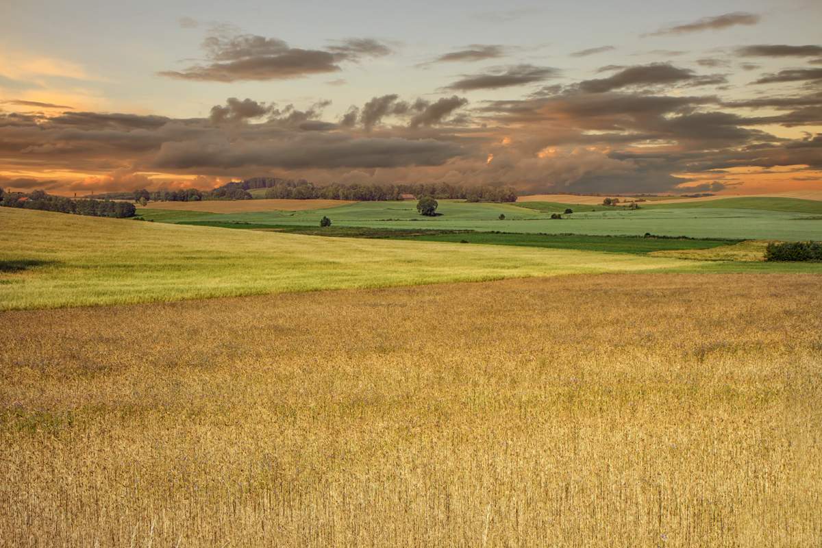 Фотографию Села И Полей