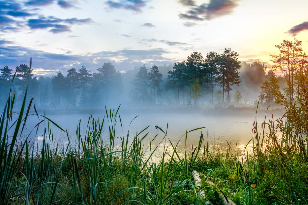 Туманное утро на озере фото