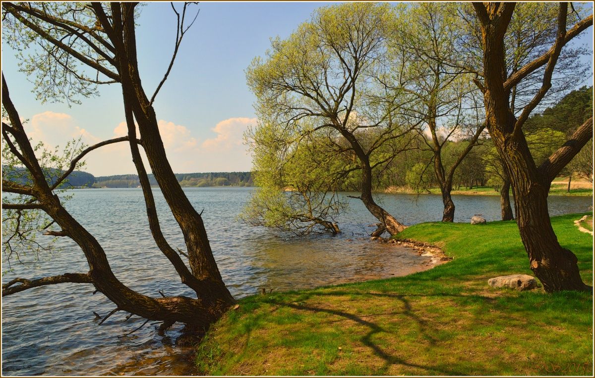 Дрозды минск водохранилище. Водохранилище Дрозды Минск. Парк Дрозды. Парк Дрозды водопад. Парк Дрозды пляж.