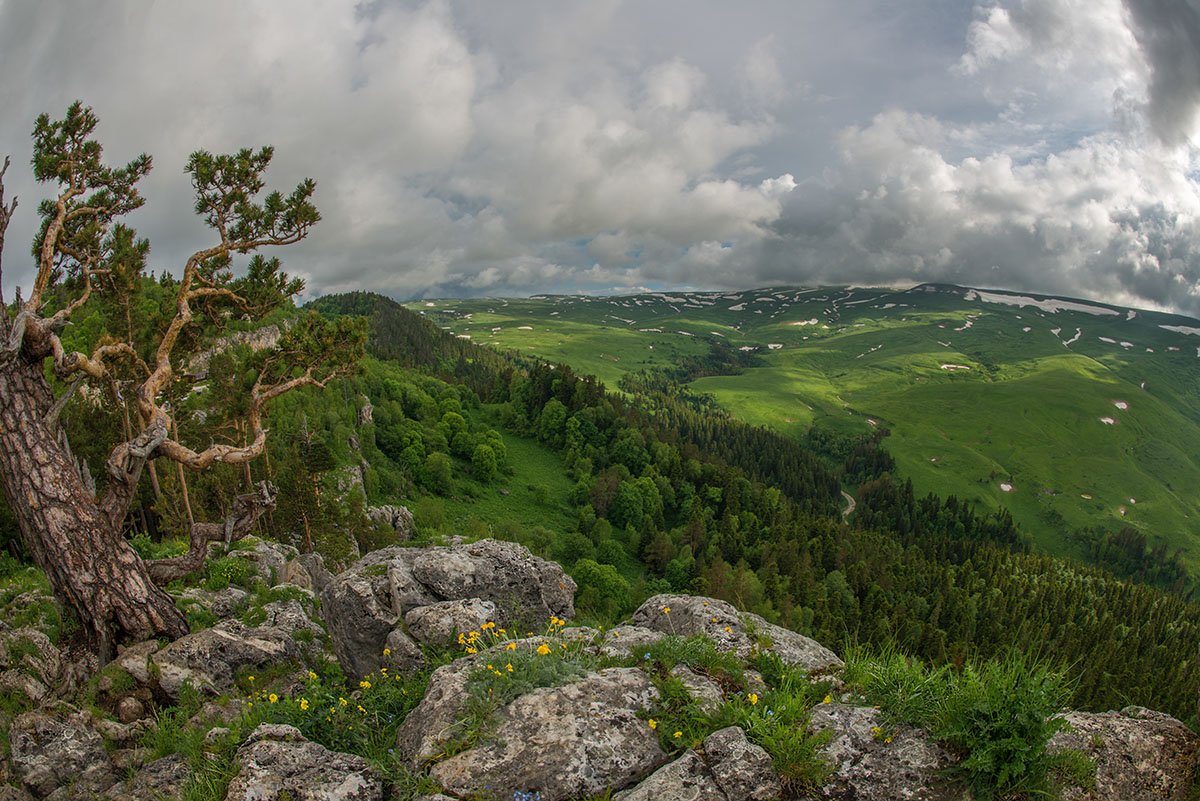 Лагонаки фото. Плато Лаго-Наки Адыгея. Адыгея плато Лаго Наки природа. Высокогорное плато Лаго-Наки (Адыгея).. Природа Лаго Наки.