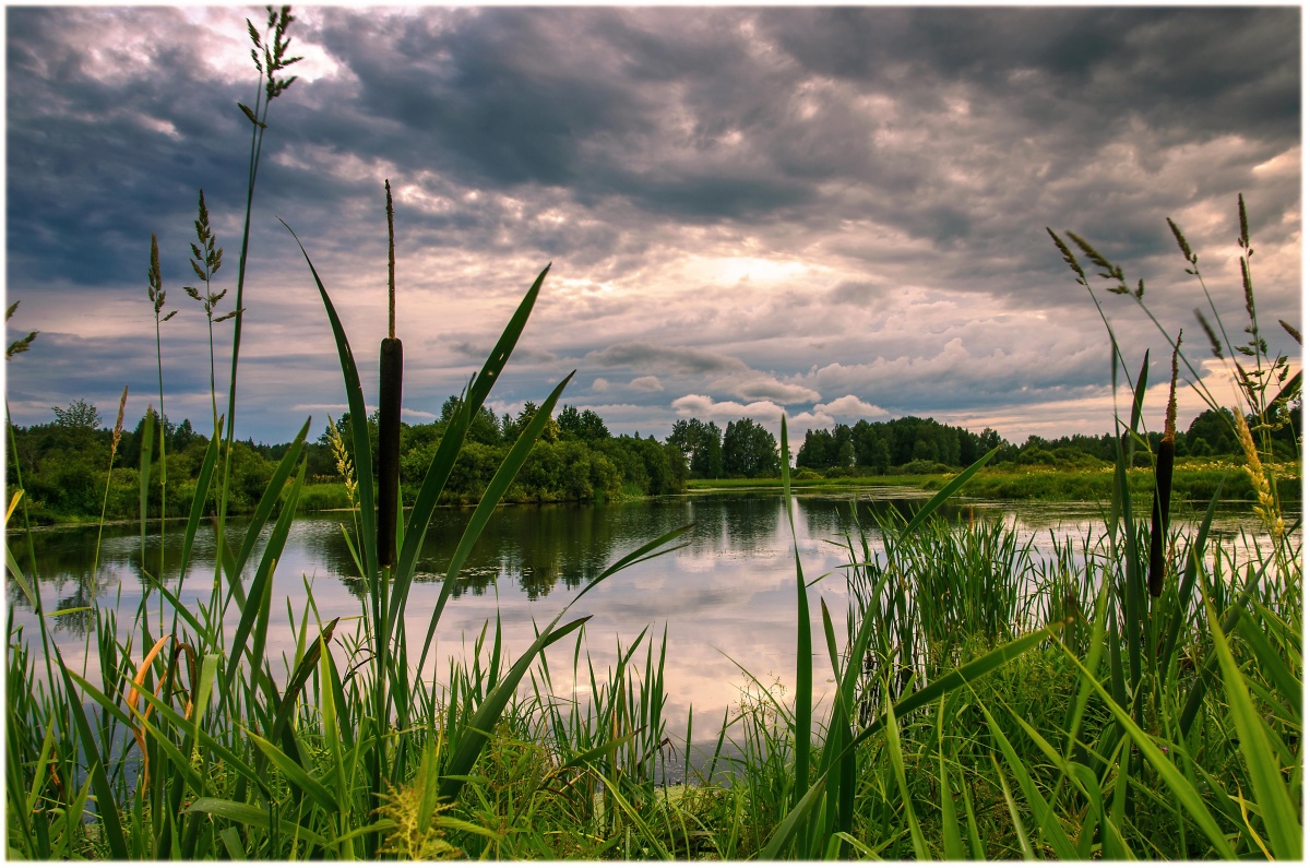 Скачать обои Природа, Озеро, Лодка, Nature, Lake, Boat, Камыши, раздел пейзажи в