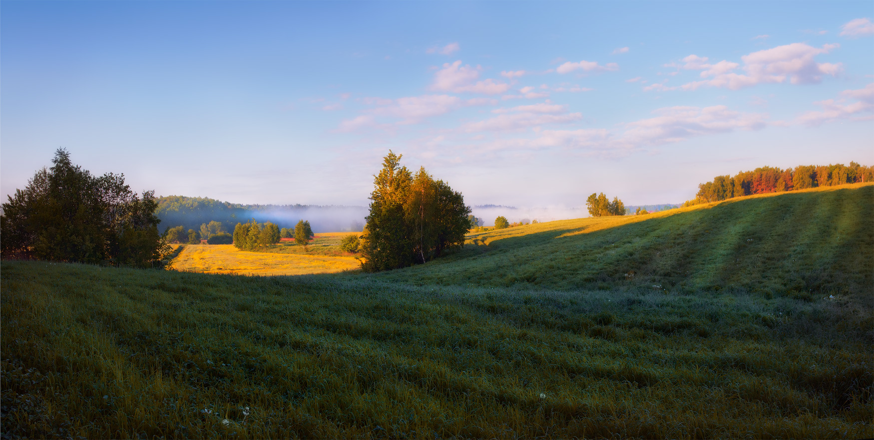 Фото сайты беларуси. Белорусские просторы. Просторы Беларуси природа. Красивые просторы Белоруссии. Поле необработанное.