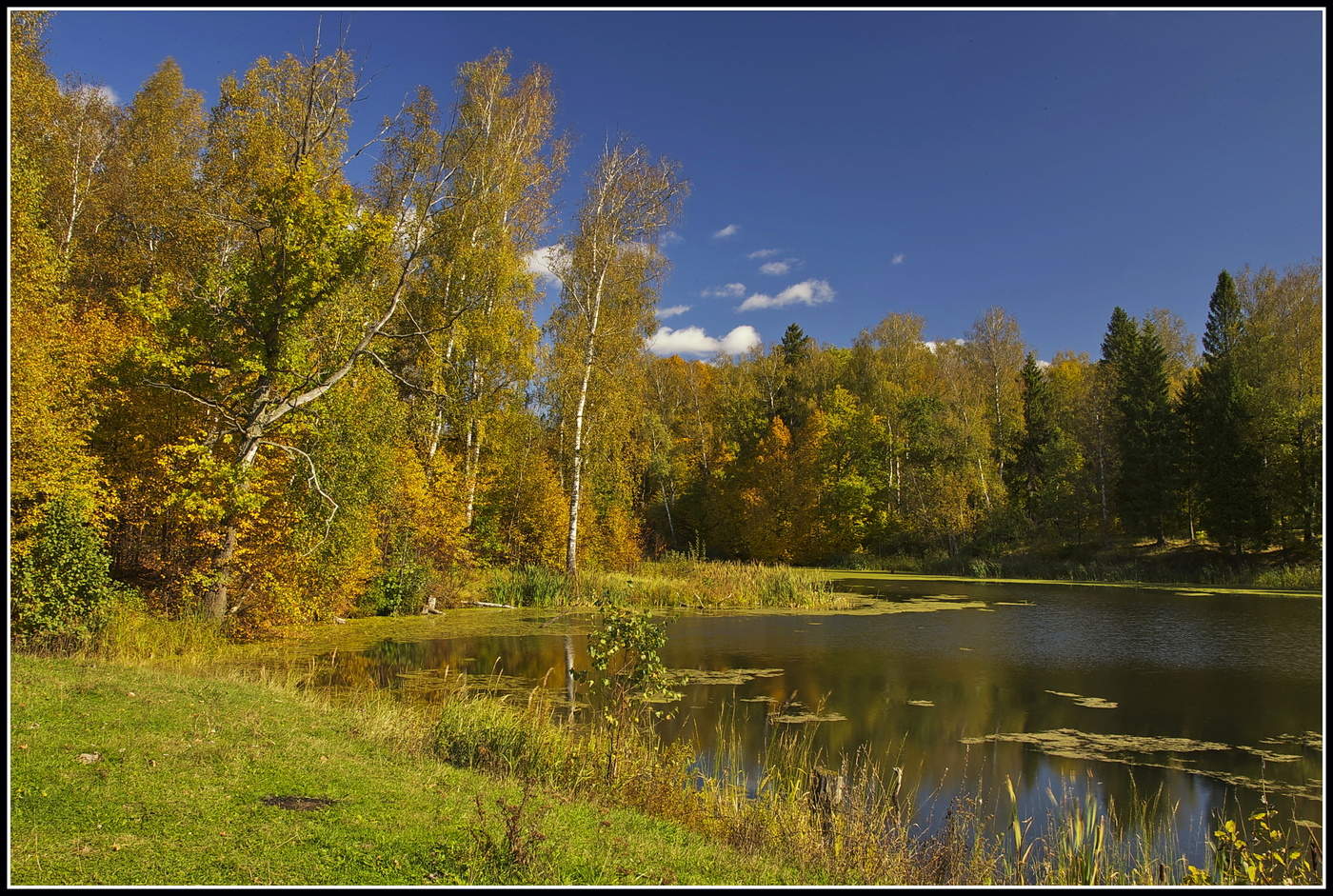 Осенние Русские Пейзажи Фото