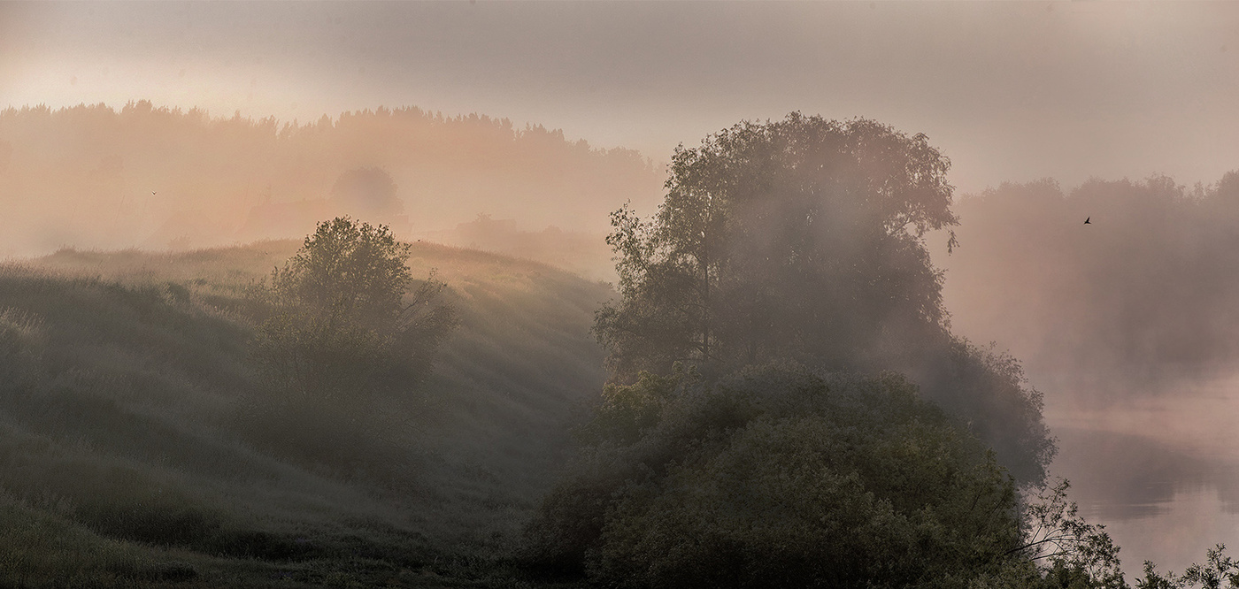 Невзирая на туман. From the Fog. From the Fog 1.19.2.