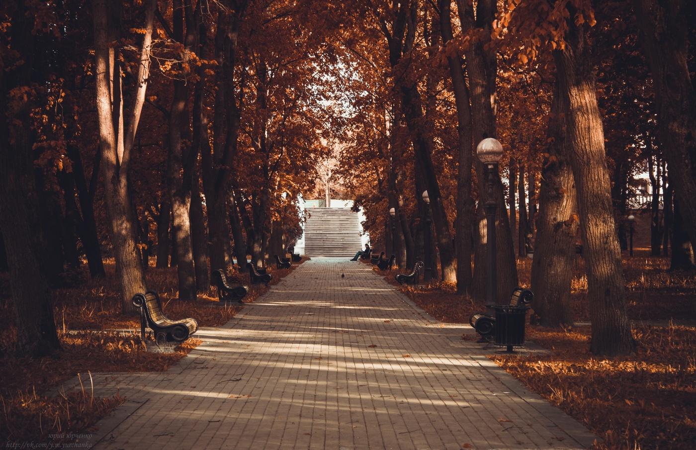 Одинокий парк. Осенний парк Эстетика. Осень парк Эстетика. Осенняя Эстетика в парке. Парк осенью Эстетика.
