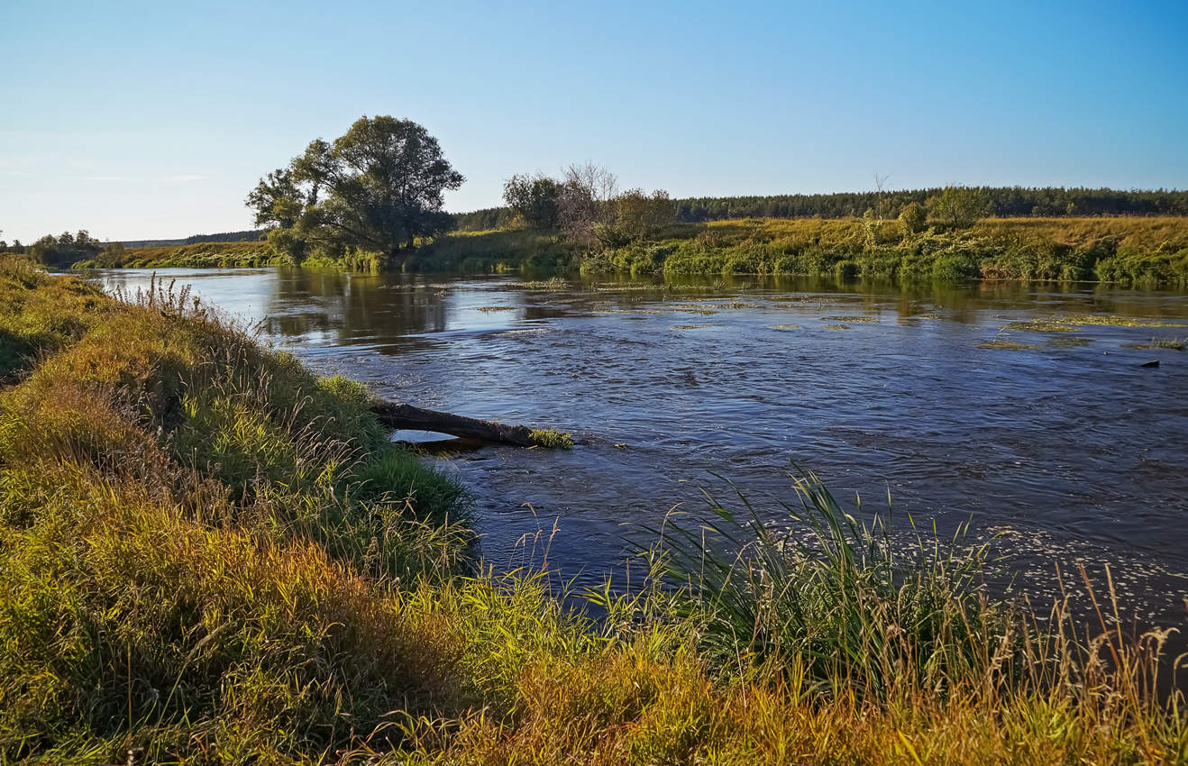 Город на берегу реки клязьма