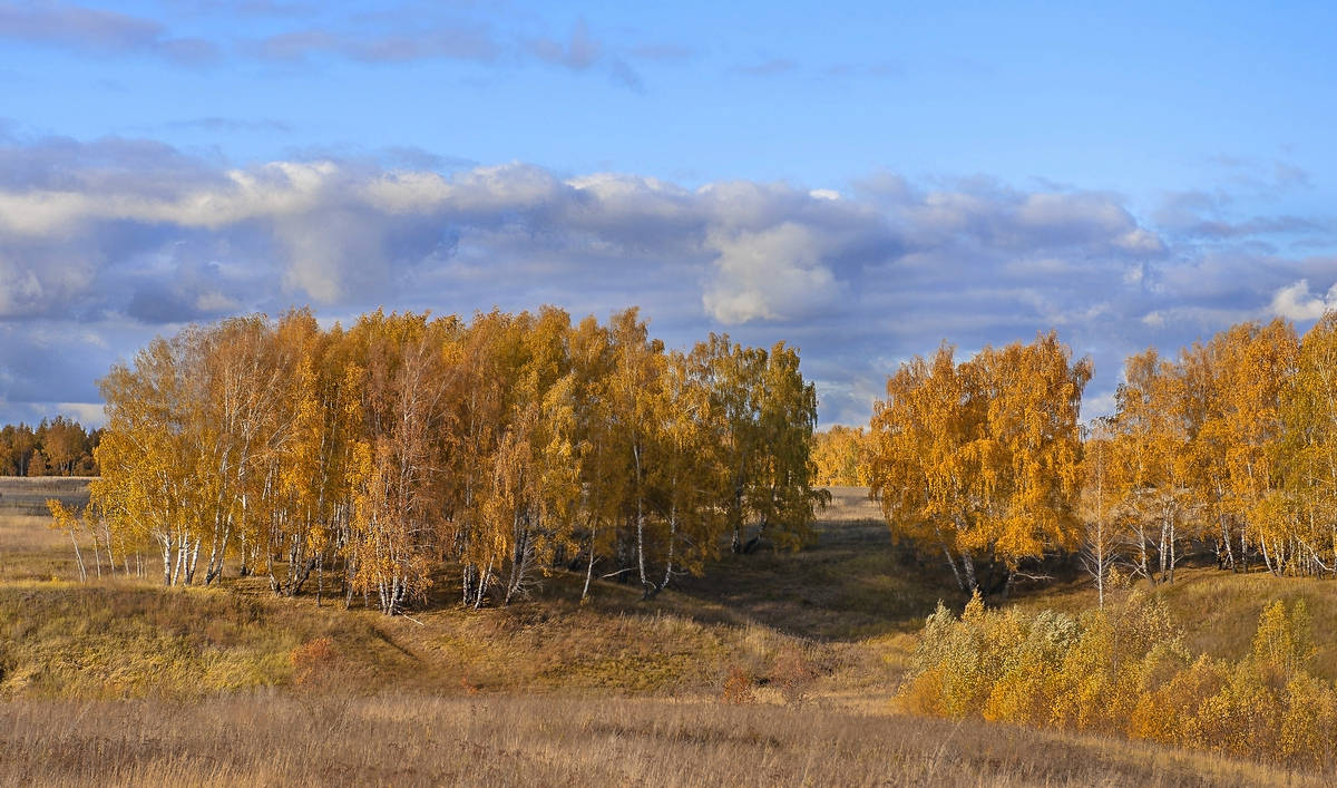 Осенняя Рязань Фото