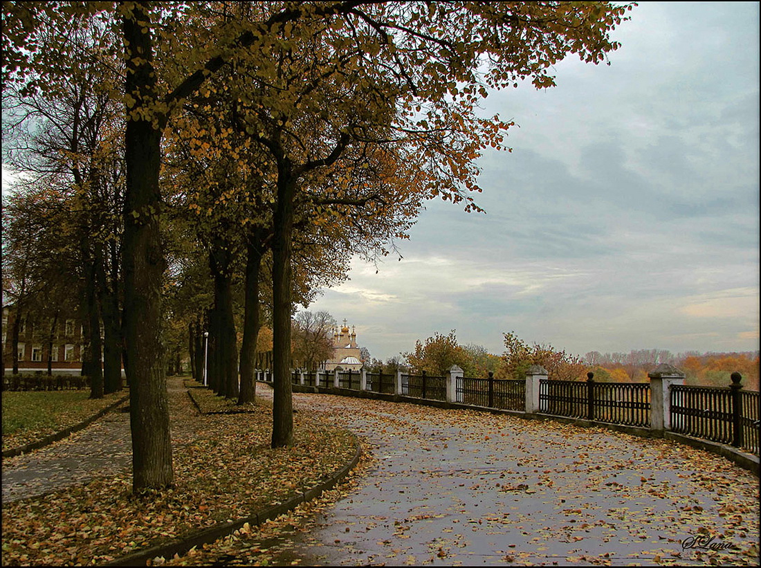 Парк пасмурно. Природа города Рязань парк. Парк Саратов поздняя осень. Рязань осень парк верхний. Осенний город.