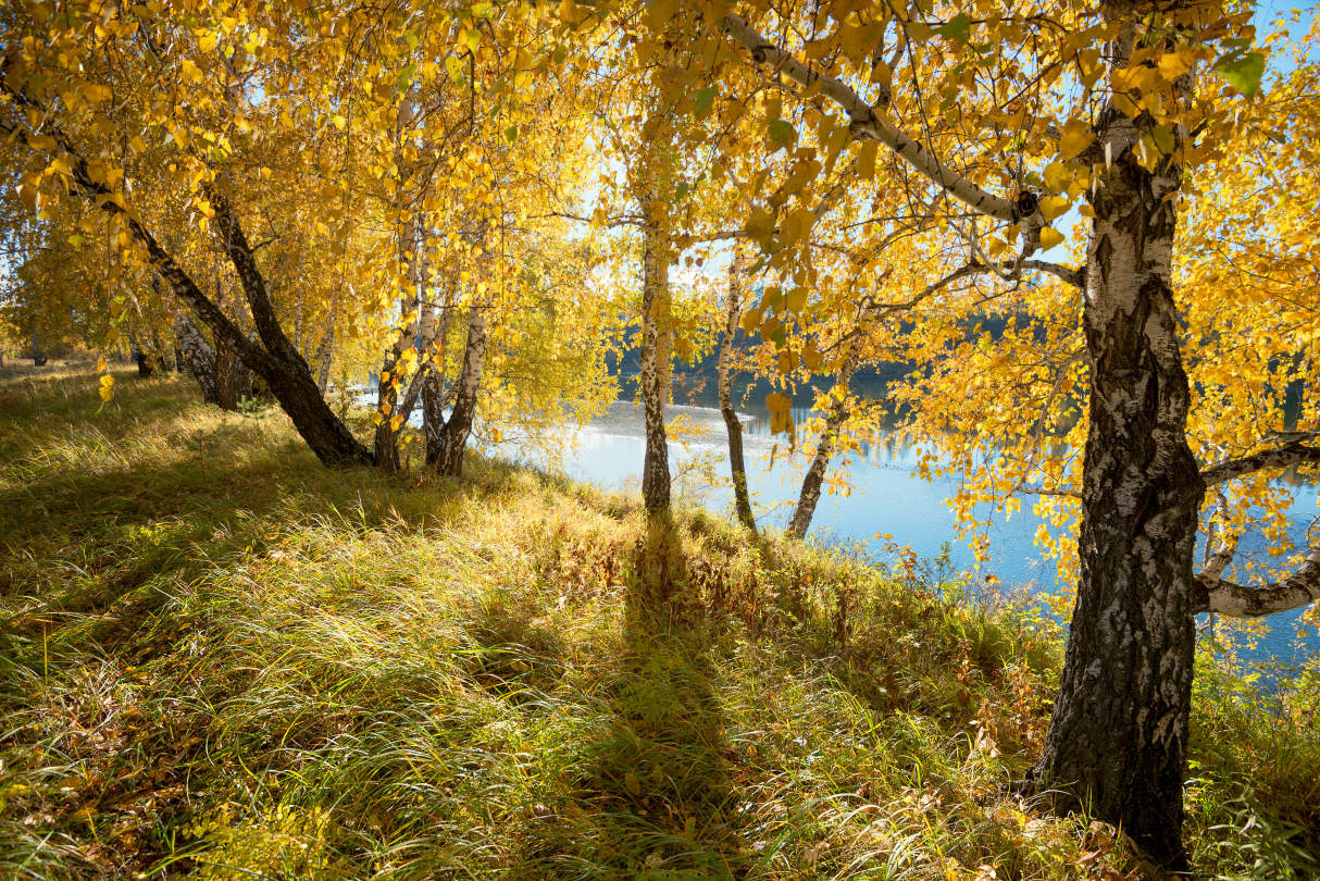 Сентябрь рано. Ранняя осень. Сентябрь природа. Осень сентябрь. Ранняя осень сентябрь.