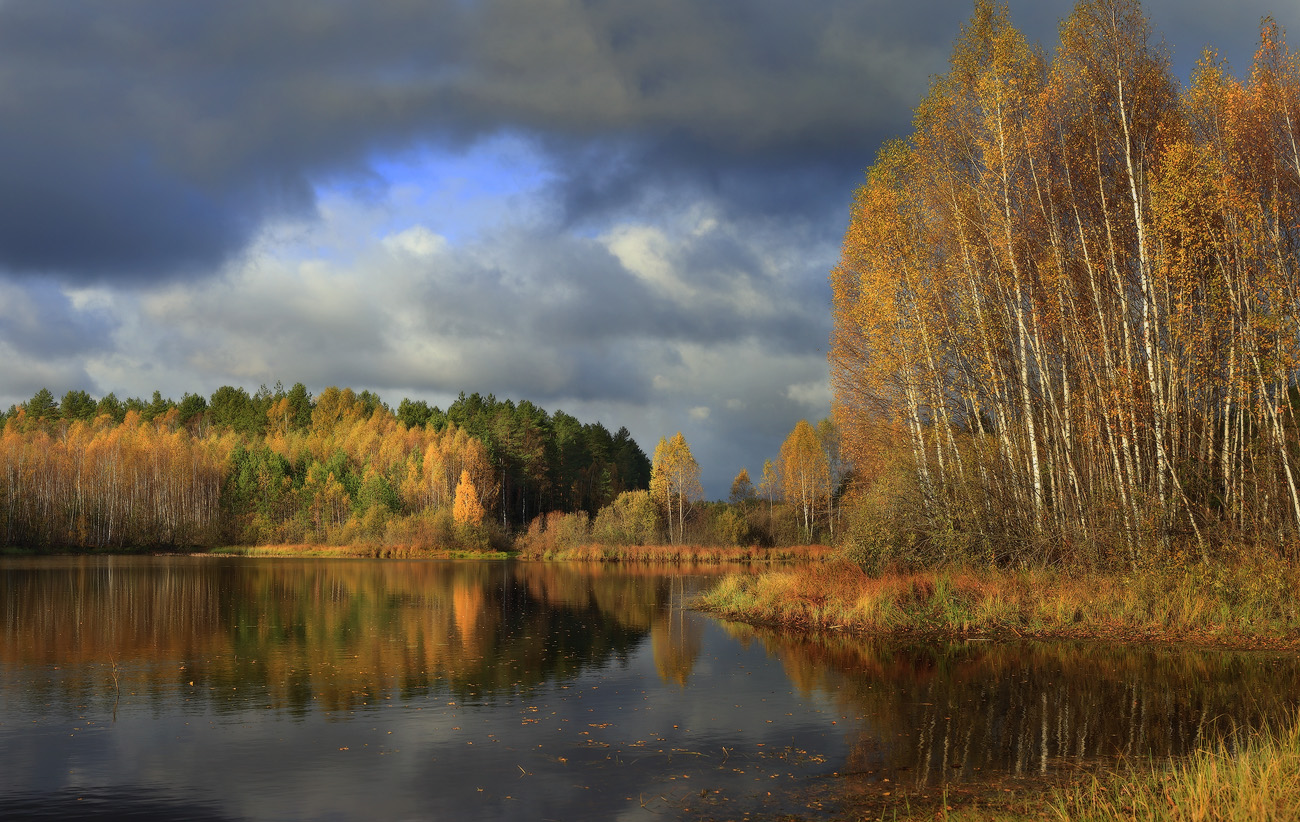 Обл октябрь. Осень октябрь. Октябрь природа. Природа в конце октября. Лес в октябре.