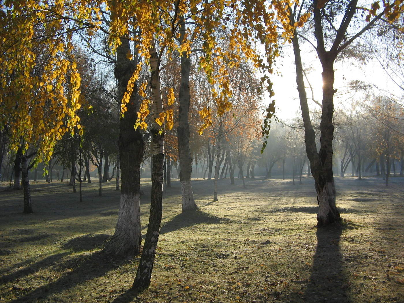 Осенняя пора очей очарованье. Осень очей очарованье. Гомель осень фото. Гомель красивое фото осень.