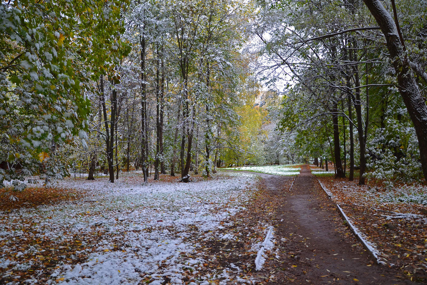 Ноябрь В Москве Фото Красивые