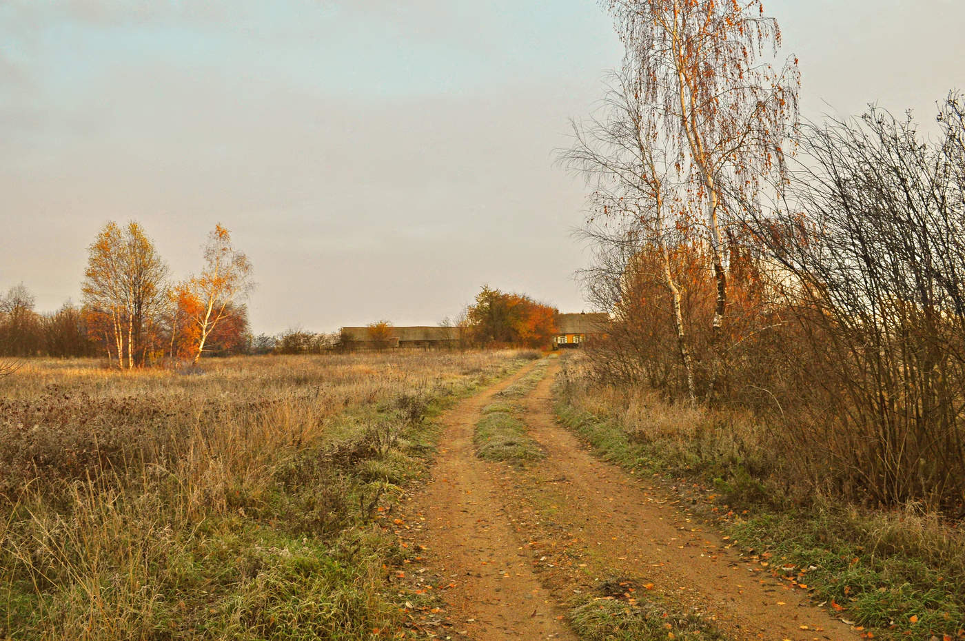 Ноябрь в деревне фото