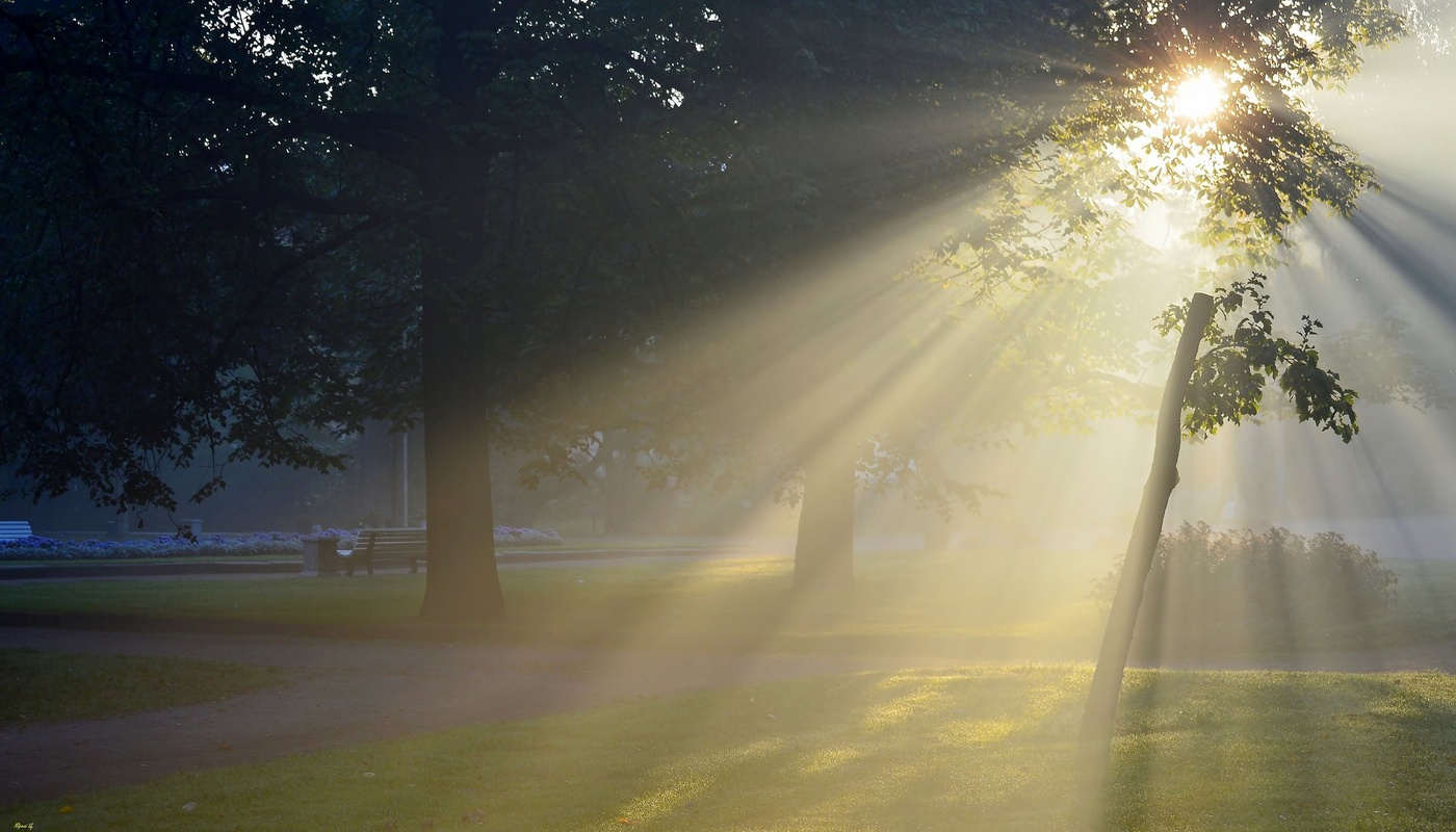 Утреннее освещение. Счастливая девушка. В прозрачном воздухе при ярком свете. Солнце после дождя. Солнечный блик на портрете.