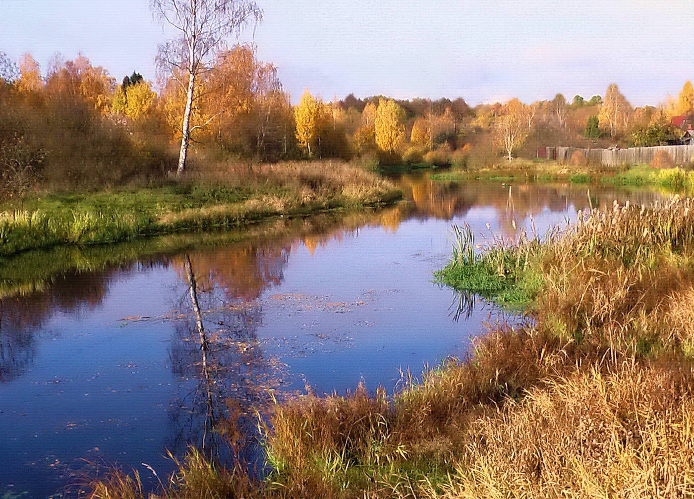 Уча фотки. Река уча Ивантеевка. Река уча Пушкино. Осень Московская область реки. Река уча Московской области.