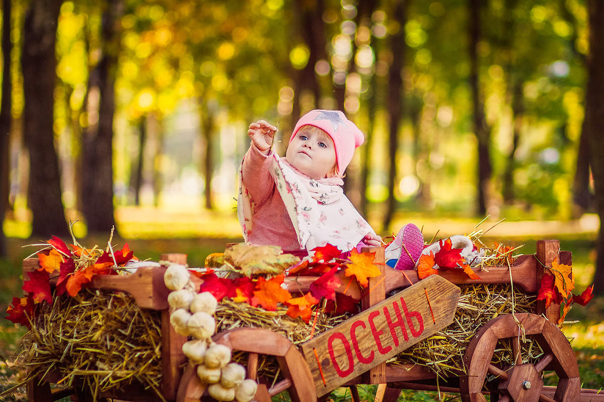 Варианты Осенних Фото