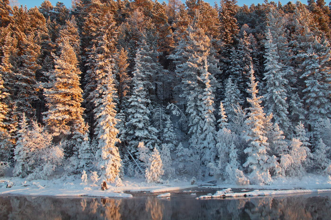 Зима бу. Карелия природа зима. Леса Карелии зимой. Карельский лес зимой. Карельские сосны зимой.