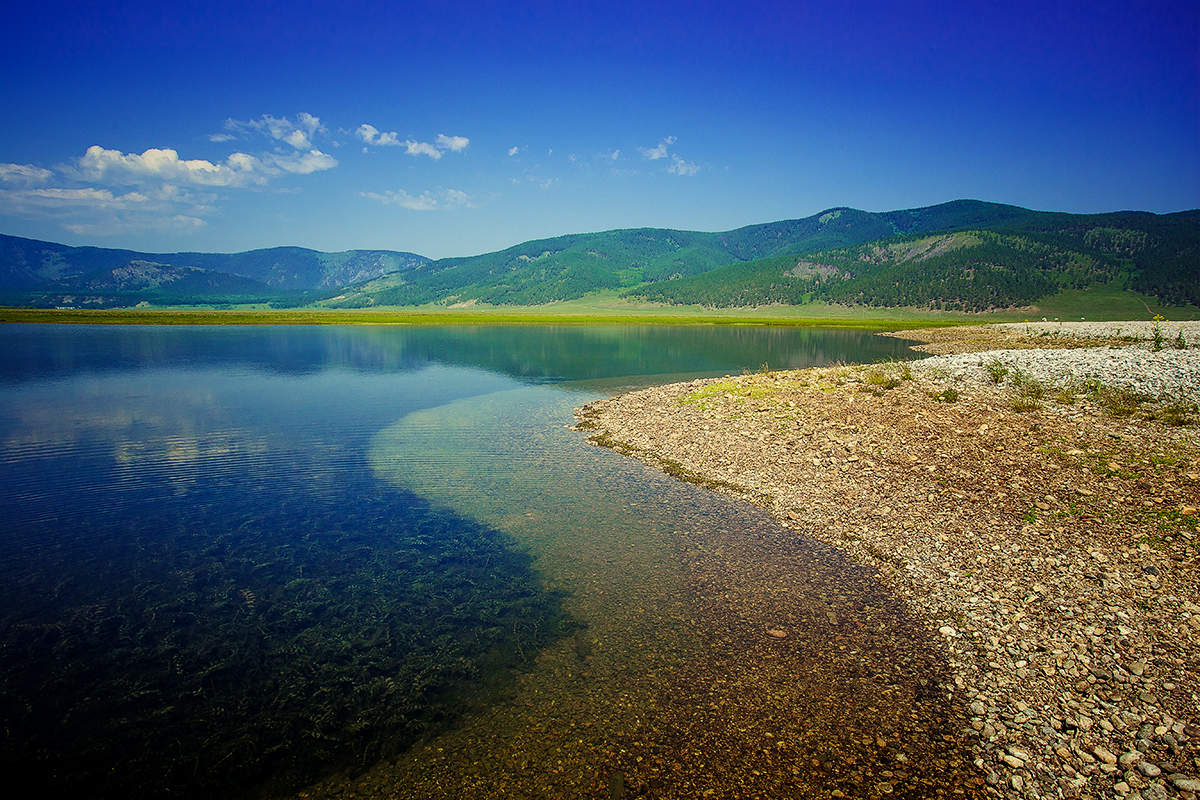 Большое голоустное байкал фото