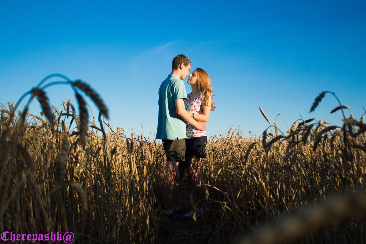 Лов лете. Фотосессия в поле пара. Love story поле летом. Лав стори в пшеничном поле. Молодая пара в поле.