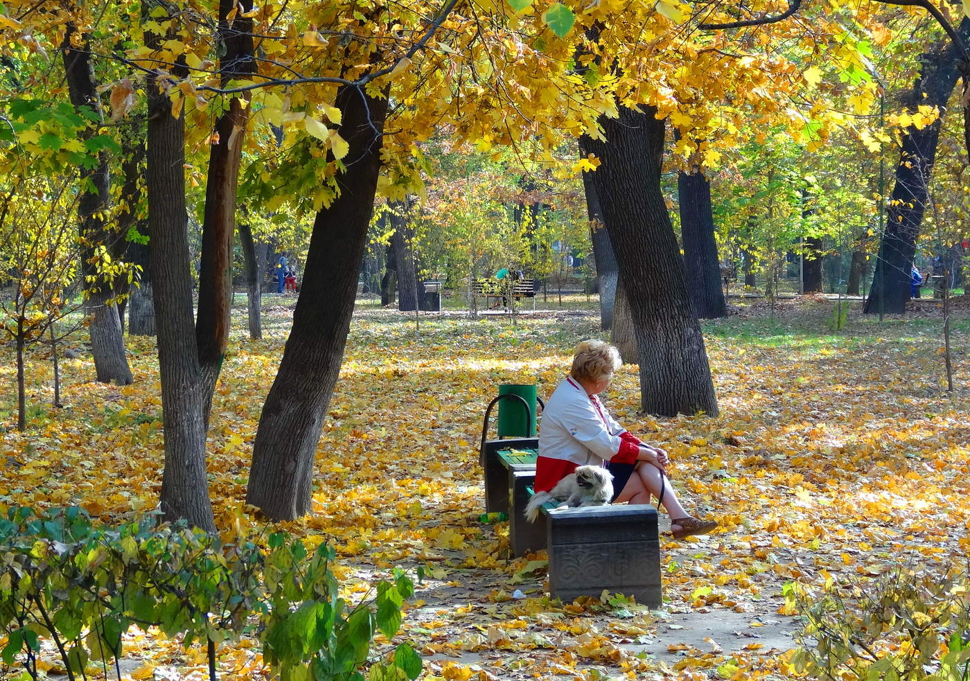 Картинка осень жизни. Осень жизни. Осень жизни осень года. Осень моей жизни. Осень жизни картинки.