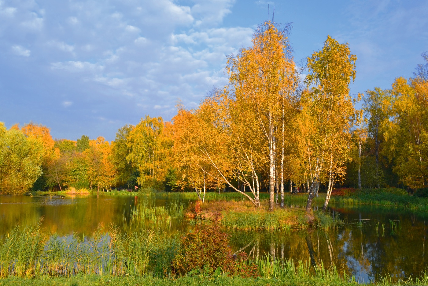 Картинки осень октябрь