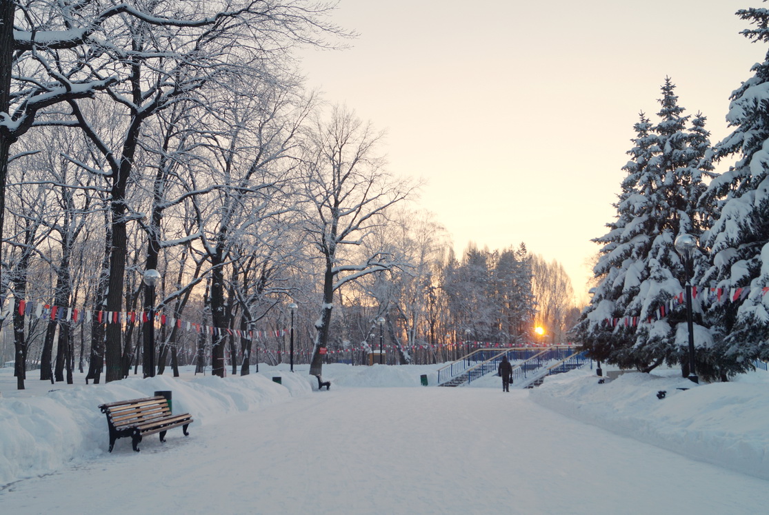 Зимний парк в москве