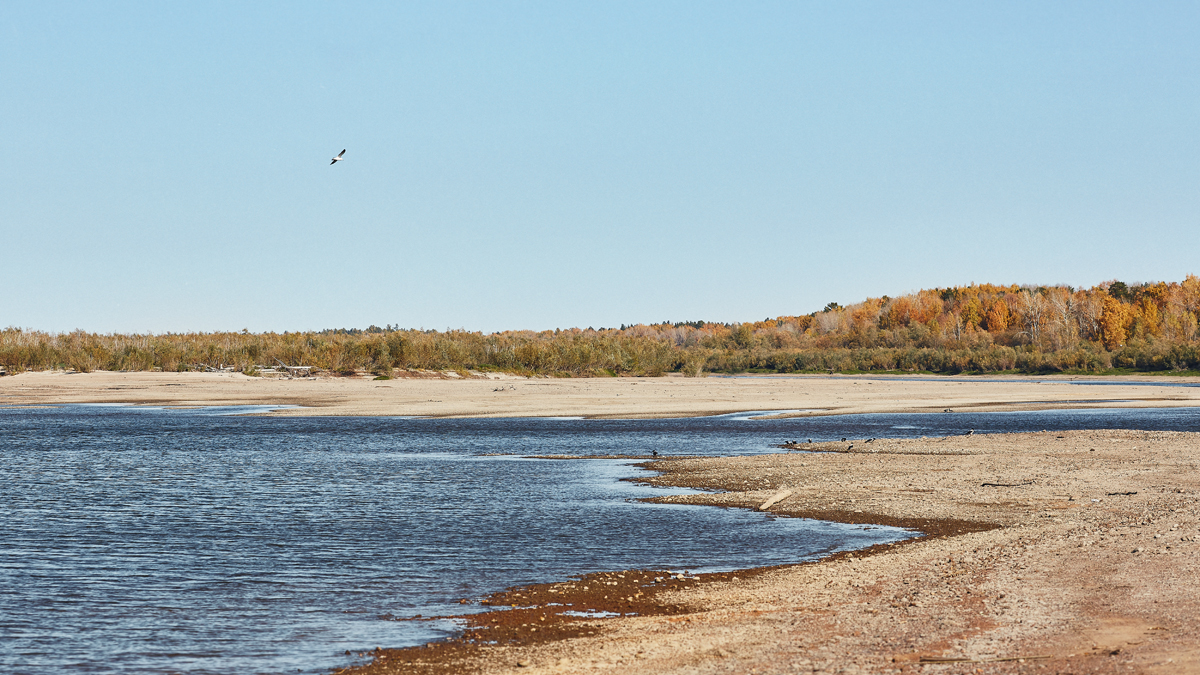 река обь камень на оби. реки сибири обь. р оби. новосибирский метромост через реку обь. река обь в западной сибири.