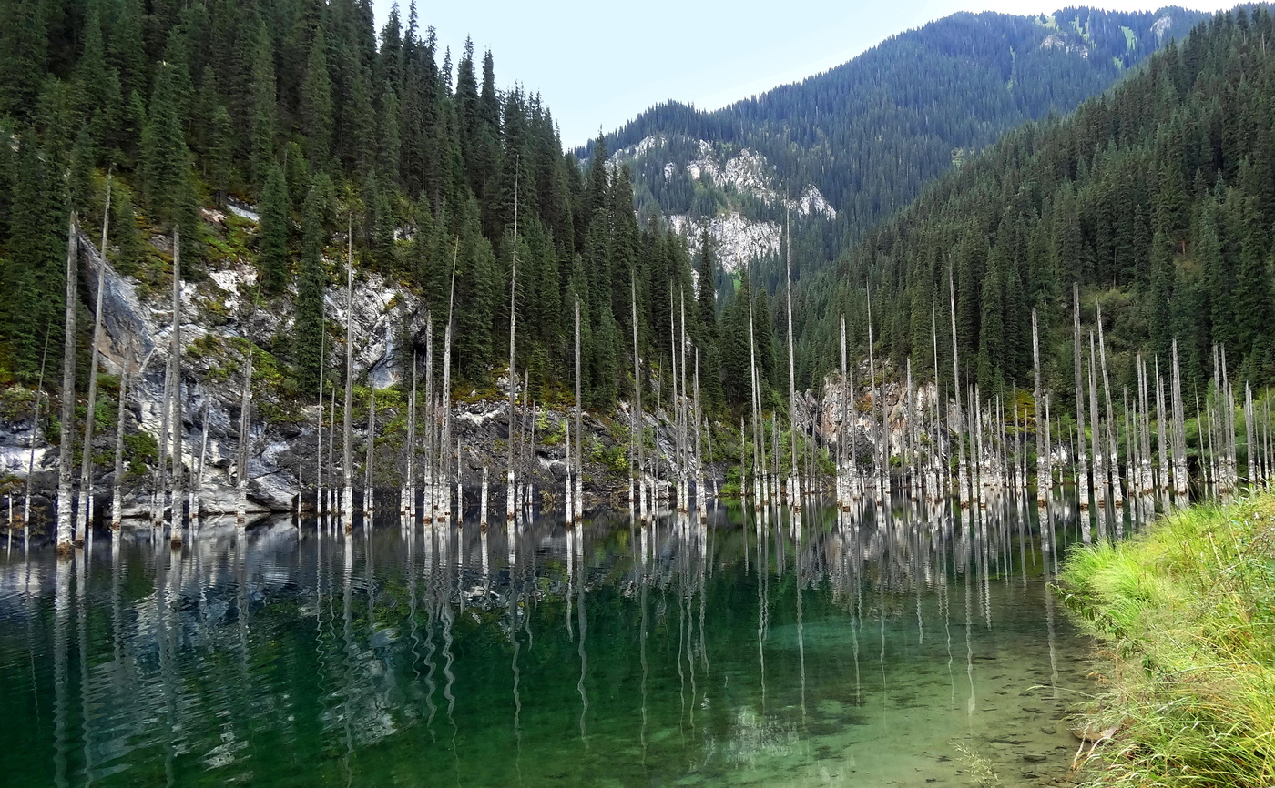 Kaindy Lake Kazakhstan