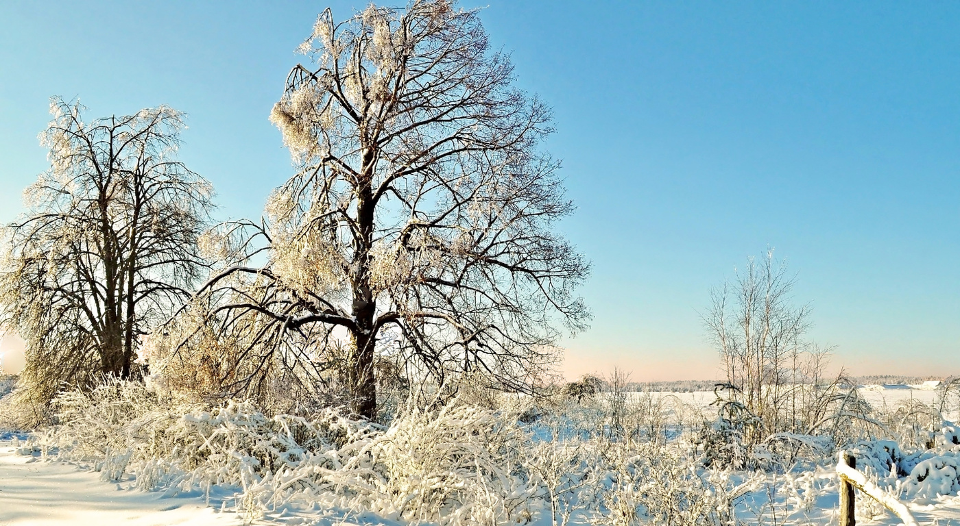 Зима приходит. Зима пришла. Зима пришла картинки. Снег кругом-зима пришла. Снежное утро фото картинки.