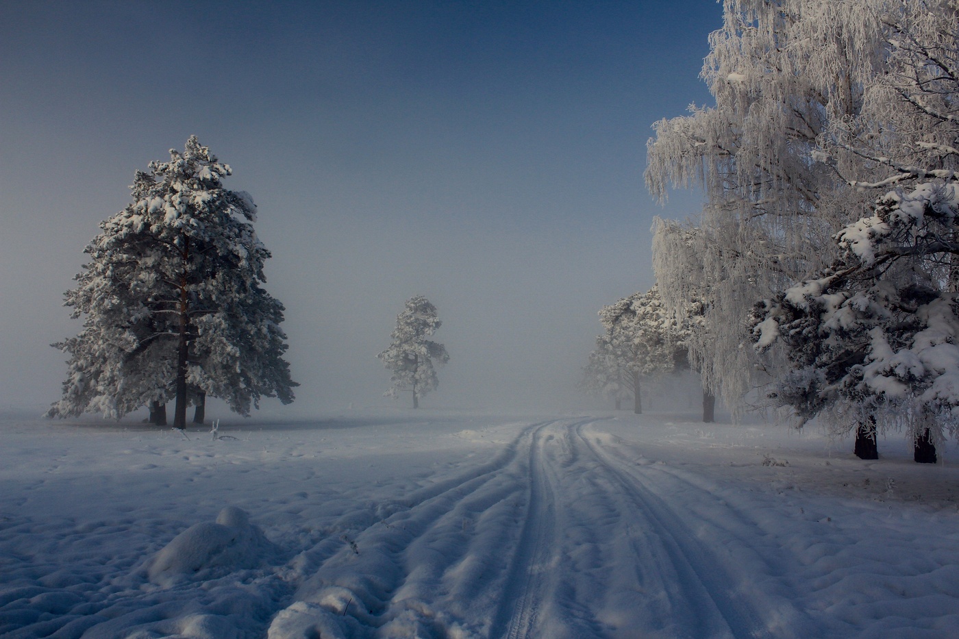 Сегодня зима. Красноярский край зима. Природа Красноярского края зима. Красноярский край зимой. Сибирь дорога зима.