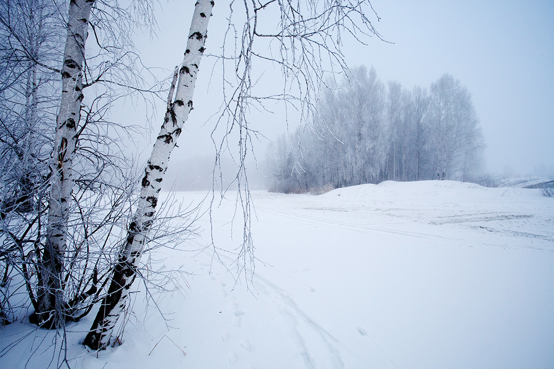 Лесопарк пышминские озерки екатеринбург зимой. Лесопарк пышминские озерки. Пышминские озерки. Солнечный остров верхняя пышма. Жк пышминские озерки.