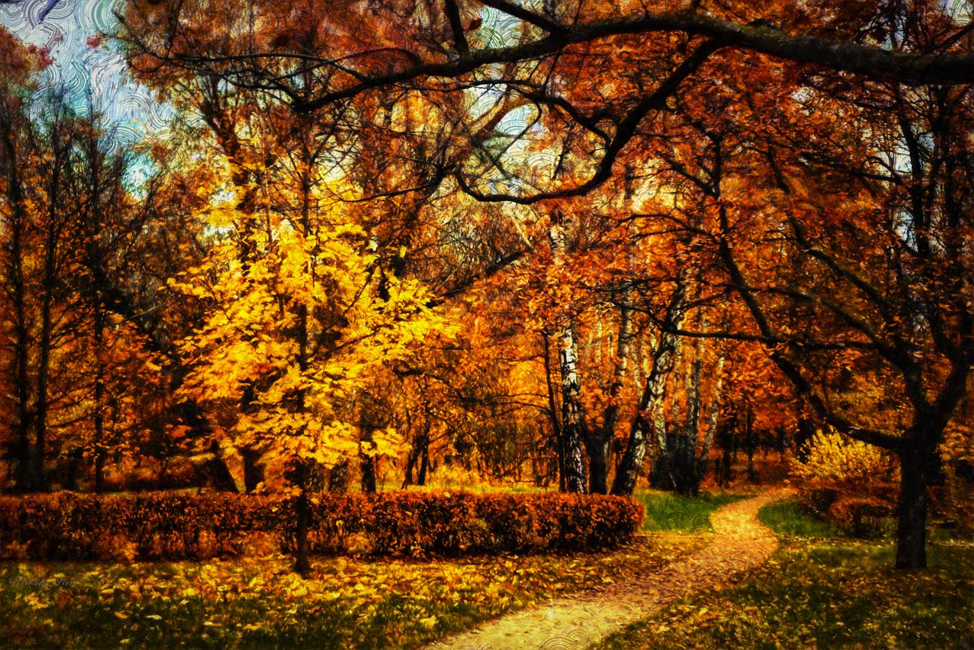 Осенний день картинки. Осенний день. Парк Сокольники осень. С днем осени. Красивый осенний день фото.