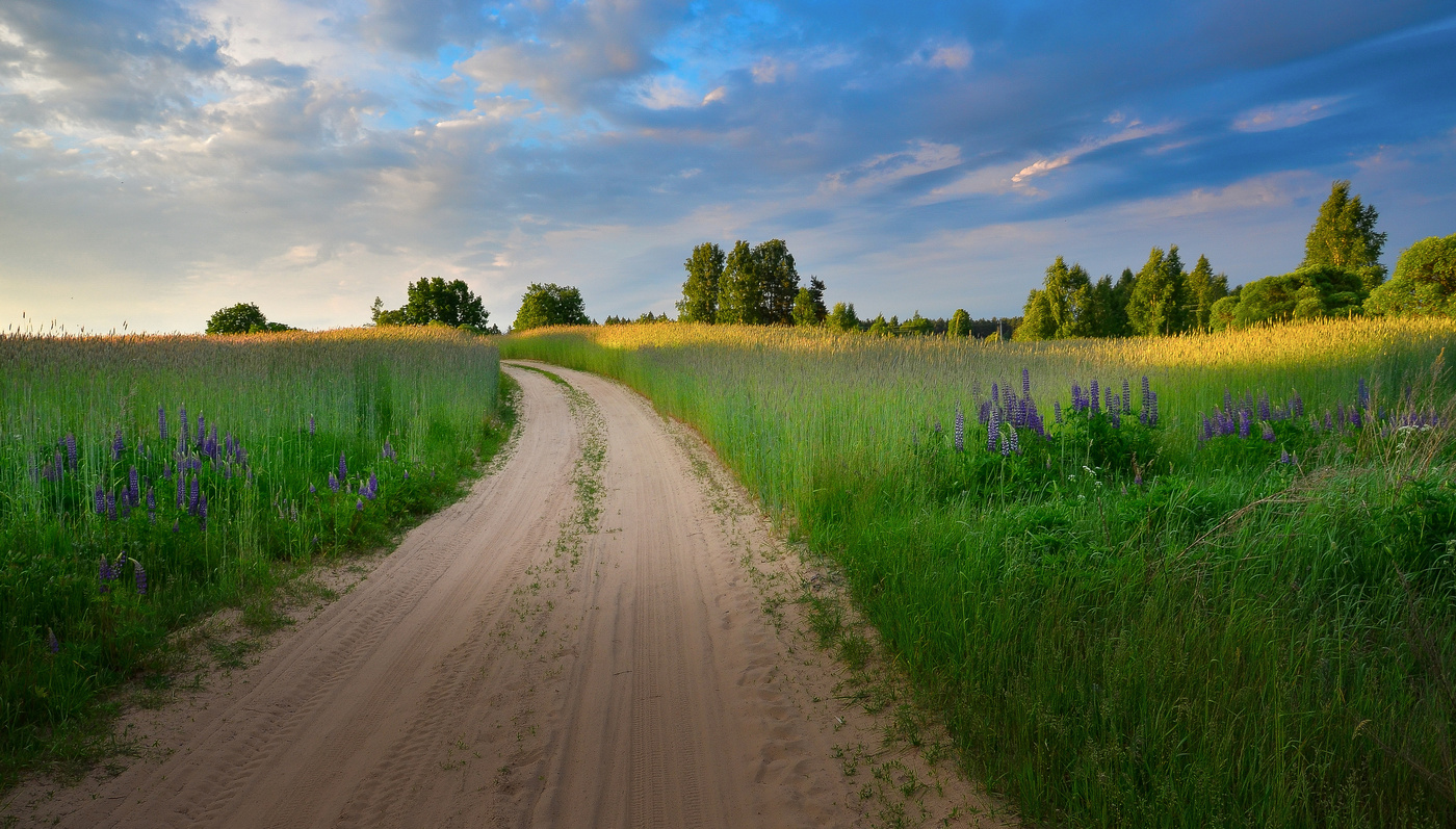 На границе лета. Белоруссия природа. Лето в Беларуси. Красивая белорусская природа. Беларусь природ лето.