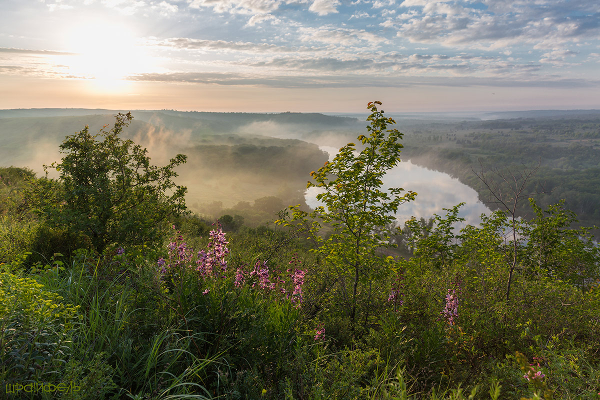 Александр Май Фото